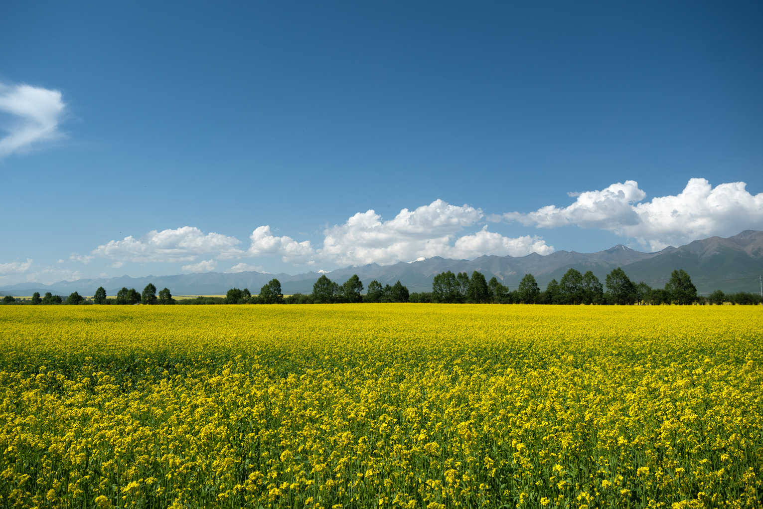 西北系列 DSC_1825